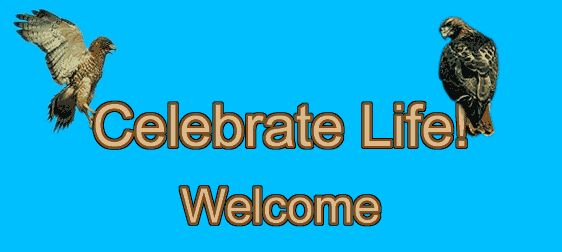 Celebrate Life. Welcome!